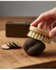 Pennello per tartufo fresco Signorini Tartufi